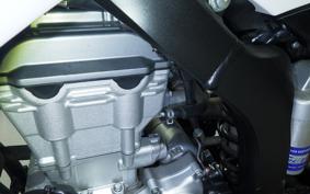 YAMAHA WR250X 2021 DG15J