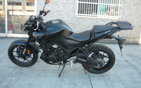 YAMAHA MT-25 ABS RG43J