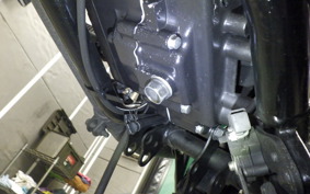 KAWASAKI 250TR 2012 BJ250F