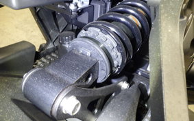 KAWASAKI Z1000 Gen.5 2020 ZXT00W