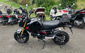HONDA GROM JC92