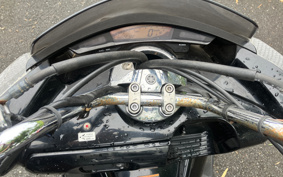 YAMAHA MAXAM250 SG21J