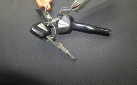 KAWASAKI NINJA 250 EX250P