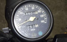 YAMAHA VIRAGO 250 3DM