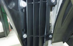 TRIUMPH TF250-X