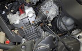 HONDA HORNET 250 2025 MC31