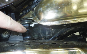 HONDA MONKEY 2024 Z50J