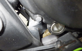 KAWASAKI NINJA 250R 2025 EX250K