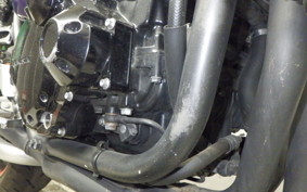KAWASAKI ZRX1200 D 2009 ZRT20D