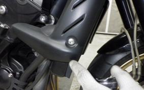 TRIUMPH STREET TRIPLE R 2010