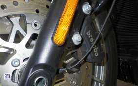 HARLEY RH975S 2024