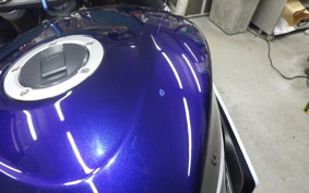 SUZUKI GSX-R1000 2007