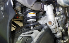 YAMAHA WR250X 2020 DG15J