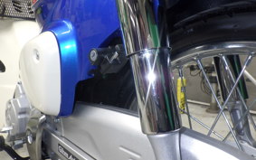 HONDA C50 SUPER CUB 2020 AA09