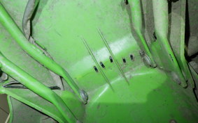 KAWASAKI KDX250SR 2012 DX250F