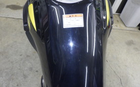 SUZUKI V-STROM 250