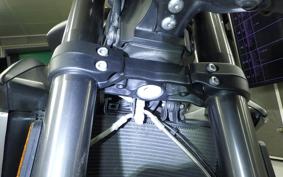 TRIUMPH STREET TRIPLE RS 2022