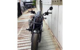 HONDA REBEL 1100 DCT 2024 SC83