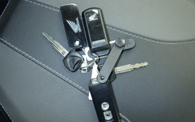 HONDA FORZA 250 2025 MF15