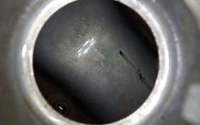 HONDA MONKEY 1998 Z50J