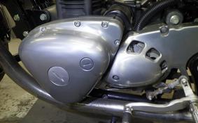 KAWASAKI W800 2019 EJ800A