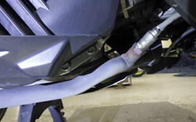 HONDA LEAD 125 2009 JK12