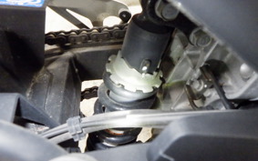 KAWASAKI Z250 Gen.2 2021 EX250P