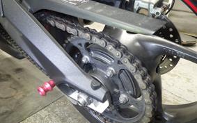 TRIUMPH STREET TRIPLE RS 2019