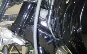 HARLEY FXDL 1580 2015