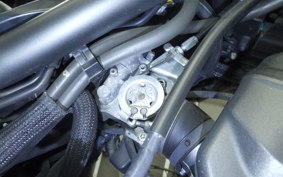 HONDA REBEL 250 A MC49