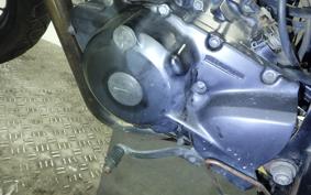 YAMAHA TW225 2008 DG09J