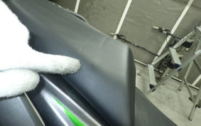 KAWASAKI NINJA 1000SX 2024 ZXT02K