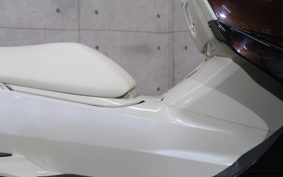 YAMAHA MAXAM 250 SG21J