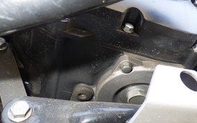 OTHER +UNREGISTERED MODEL by BDS250