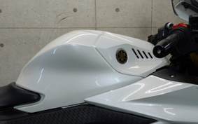 YAMAHA YZF-R25 RG74J