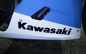 KAWASAKI NINJA 400 2023 EX400L