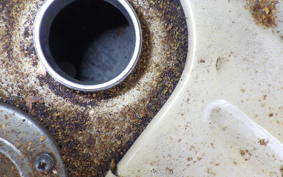 OTHER +RABBIT125 2023 S301