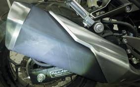 KAWASAKI NINJA 250 EX250L