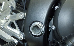 YAMAHA YZF-R6 2010