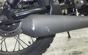 OTHER +MUTTｻﾊﾞｽ250