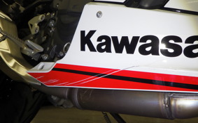 KAWASAKI NINJA 400 2019 EX400G