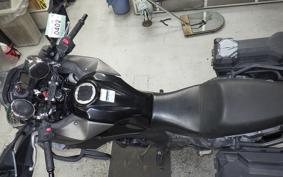 KAWASAKI VERSYS 250 X LE250D