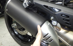 DUCATI SCRAMBLER ICON 2023