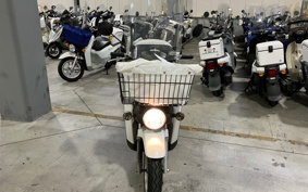 HONDA  BENLY  PRO  AA03