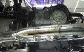 HONDA HORNET 250 MC31