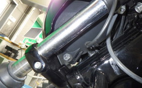 HARLEY XG750 STREET 2015