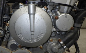 KAWASAKI KLX250 2025 LX250E