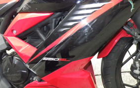 KAWASAKI NINJA 250 SL BX250A