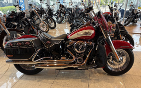 HARLEY FLI 2024 BCK