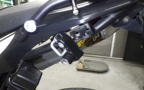 YAMAHA WR250X 2024 DG15J